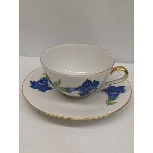 Seltmann Weiden Ingrid Demitasse Cup & Saucer Set Bavaria Blue Flower